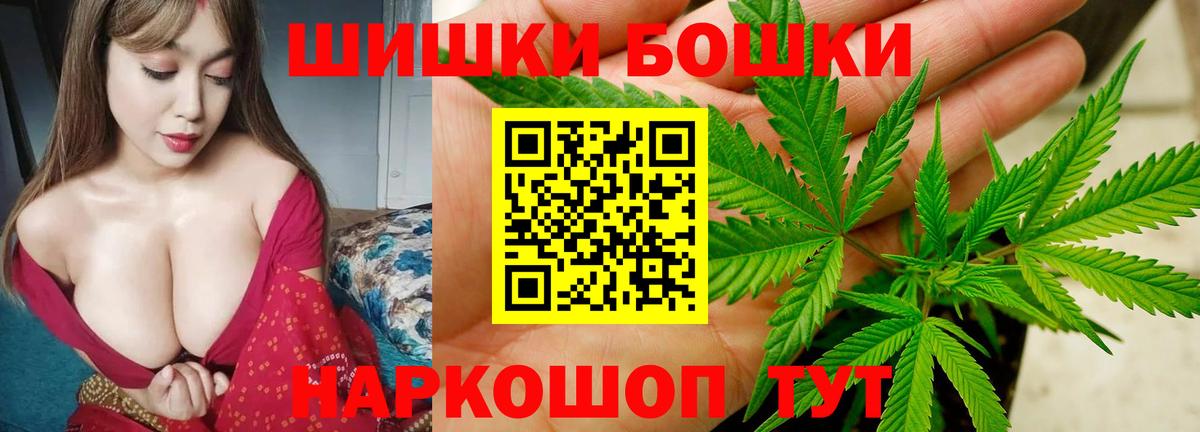 Бошки марихуана сатива Кириши